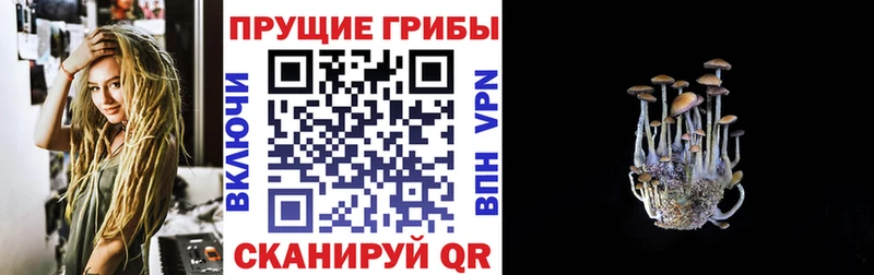 Купить где Конаково Галлюциногенные грибы Magic Shrooms